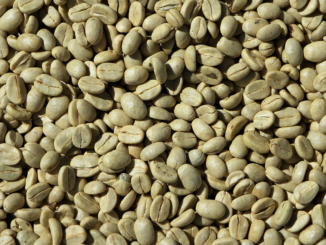 Coffee Enema History and Instructions